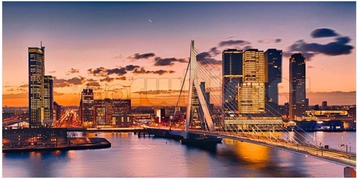 TOPMO - Rotterdam Skyline - The King - Diamond painting pakket - HQ Diamond Painting - volledig dekkend - Diamant Schilderen – voor Volwassenen – ROND - 40 x 50 CM