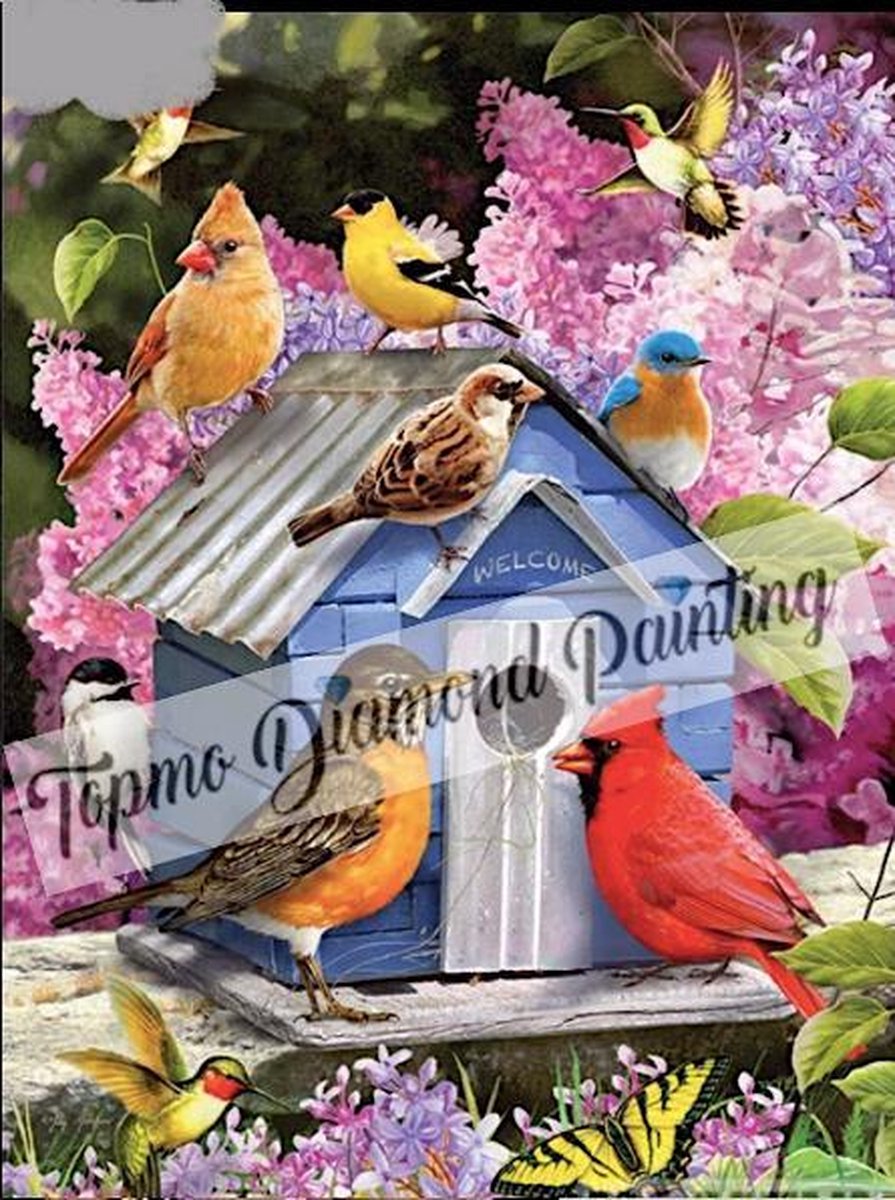 TOPMO - Vogel vergadering bij vogelhuisje - 40X50CM- Diamond painting pakket - HQ Diamond Painting - VOLLEDIG dekkend - Diamant Schilderen - voor Volwassenen – ROND- Diamond DOTZ