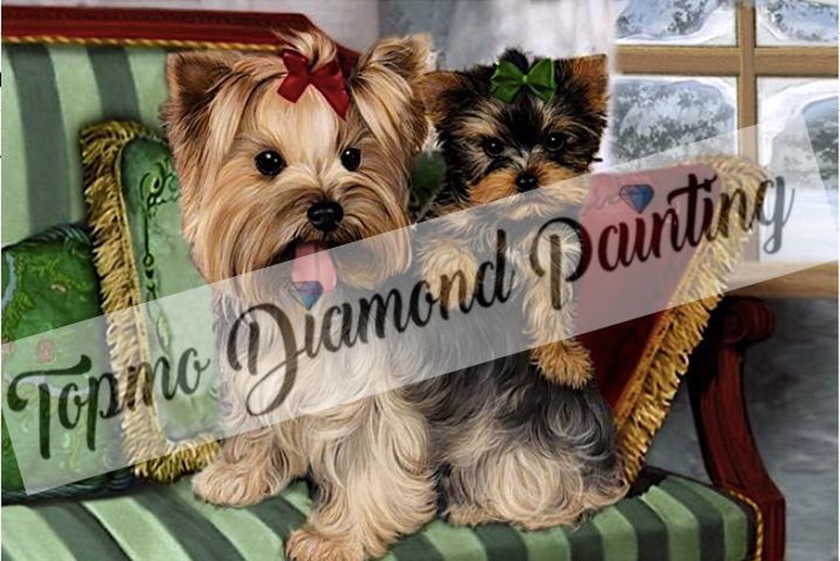 TOPMO -  hondjes op bankje - 40X50CM- Diamond painting pakket - HQ Diamond Painting - VOLLEDIG dekkend - Diamant Schilderen - voor Volwassenen – ROND- Diamond DOTZ