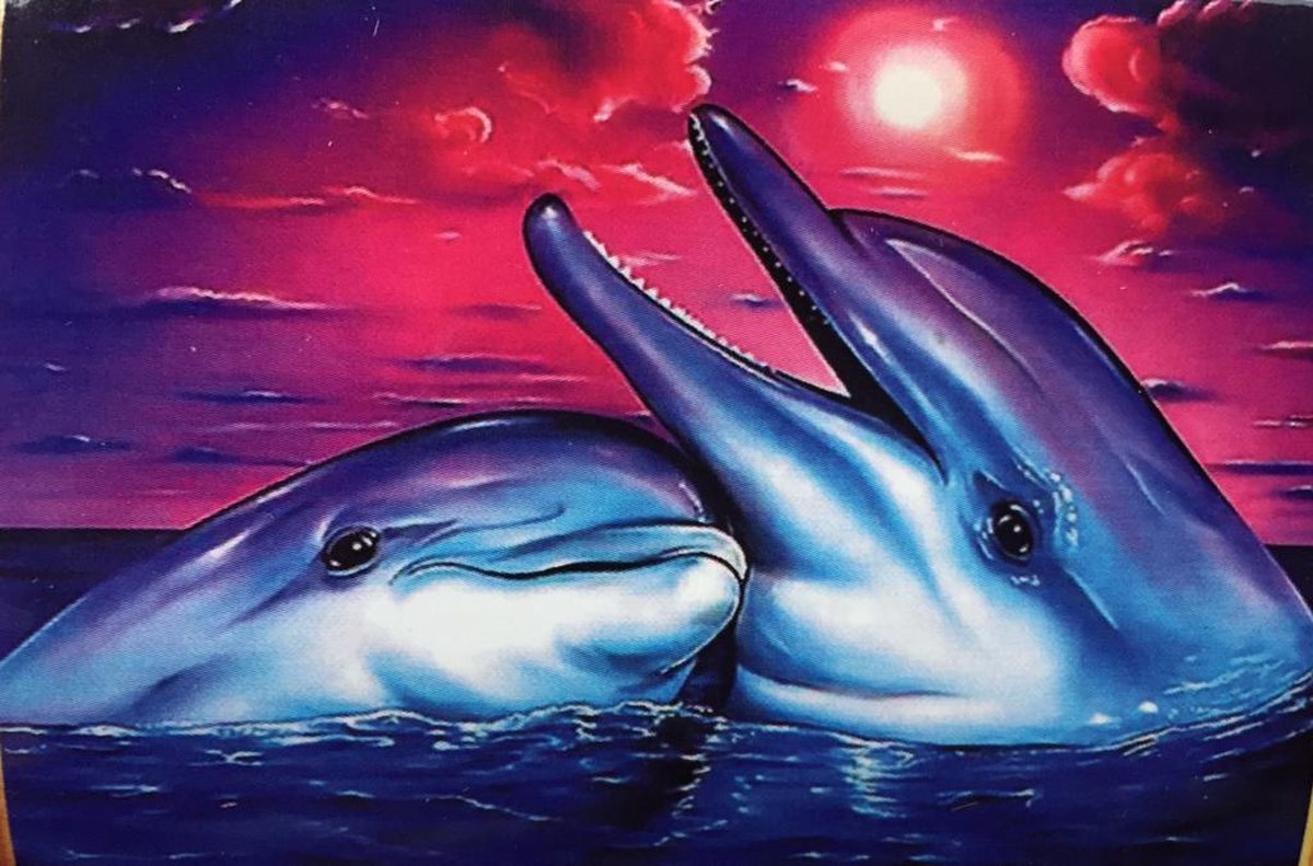 TOPMO Diamond Painting  - twee Dolfijnen  - volledige - 40x50cm