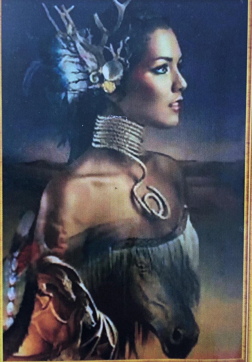 TOPMO Diamond painting- vrouw met reflecterende paard- volledig 40x50cm