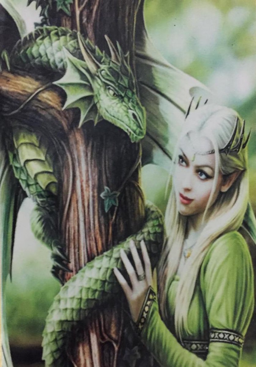TOPMO diamond painting- slangen elf - volledig 40x50cm