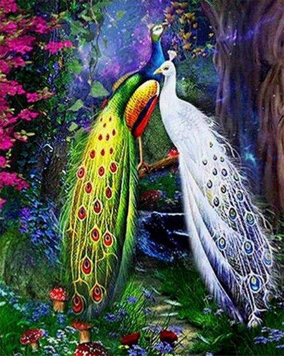 VDTOYS® DIAMOND PAINTING volwassenen - VDTC206 - vierkante steentjes - full - groot formaat - nieuwe tekeningen - 45 op 55 cm (canvas) - 40 op 50 (foto)