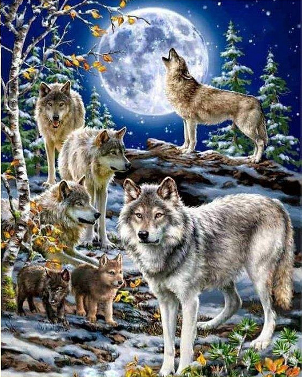 VDTOYS® DIAMOND PAINTING volwassenen - VDTC207 - vierkante steentjes - full - groot formaat - nieuwe tekeningen - 45 op 55 cm (canvas) - 40 op 50 (foto)