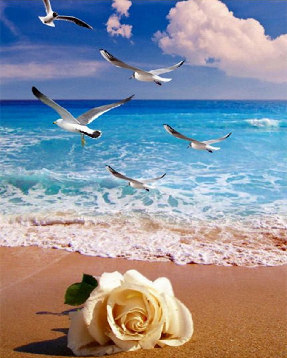 VDTOYS® DIAMOND PAINTING volwassenen - VDTC211 - vierkante steentjes - full - groot formaat - nieuwe tekeningen - 45 op 55 cm (canvas) - 40 op 50 (foto)