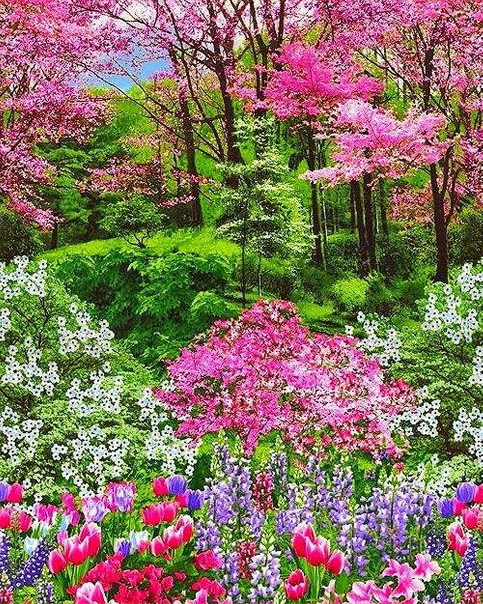 VDTOYS® DIAMOND PAINTING volwassenen - VDTC224 - vierkante steentjes - full - groot formaat - nieuwe tekeningen - 45 op 55 cm (canvas) - 40 op 50 (foto)