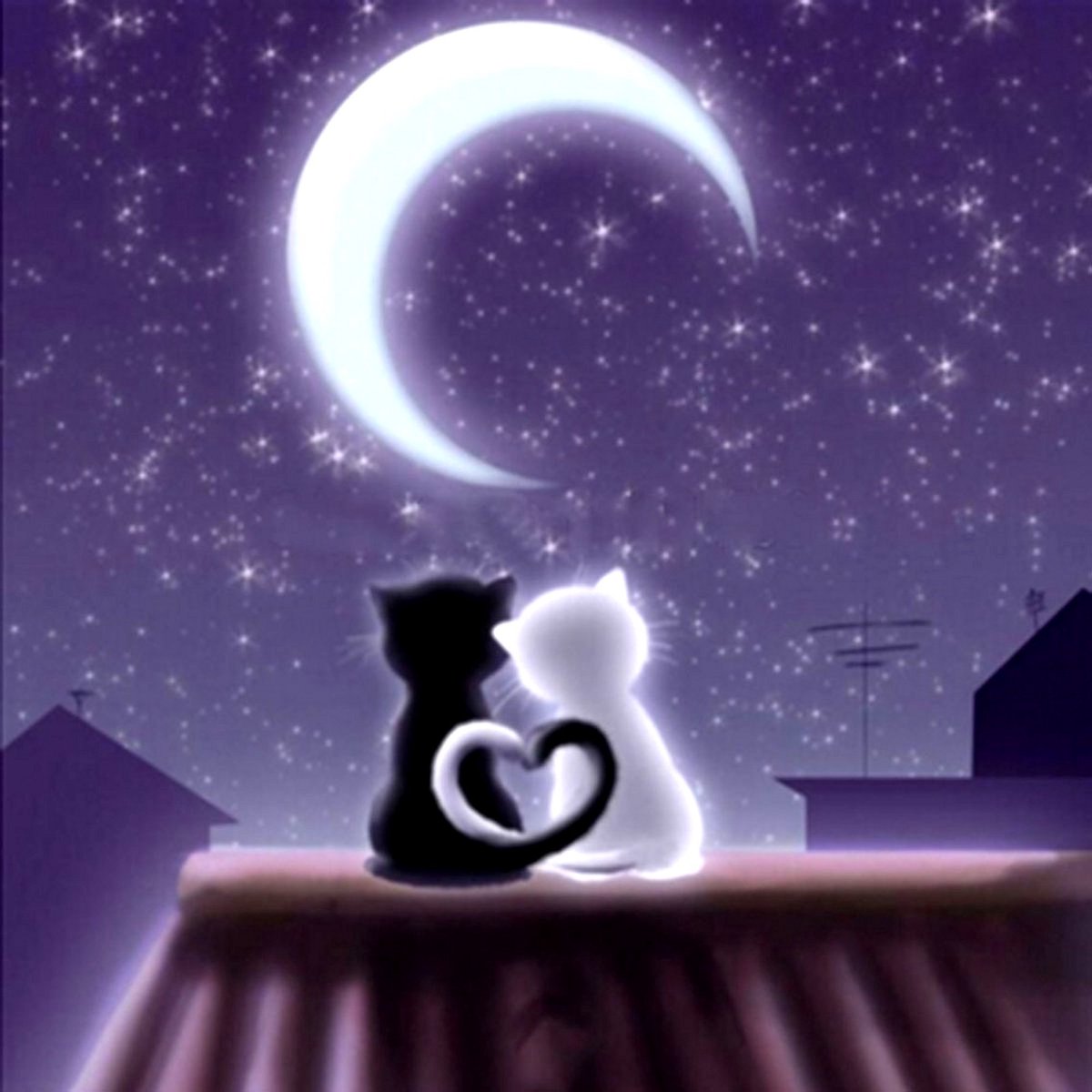 VDTOYS® DIAMOND PAINTING volwassenen - VDTC228 - vierkante steentjes - full - groot formaat - nieuwe tekeningen - 45 op 45 cm (canvas) - 40 op 40 (foto)