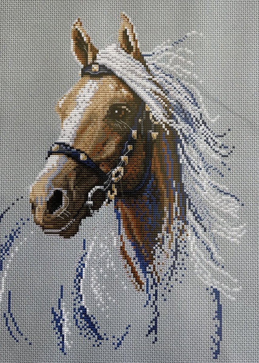 Borduurpakket met DMC garens - VDV - Lightning - Bliksem - telpatroon om zelf te borduren