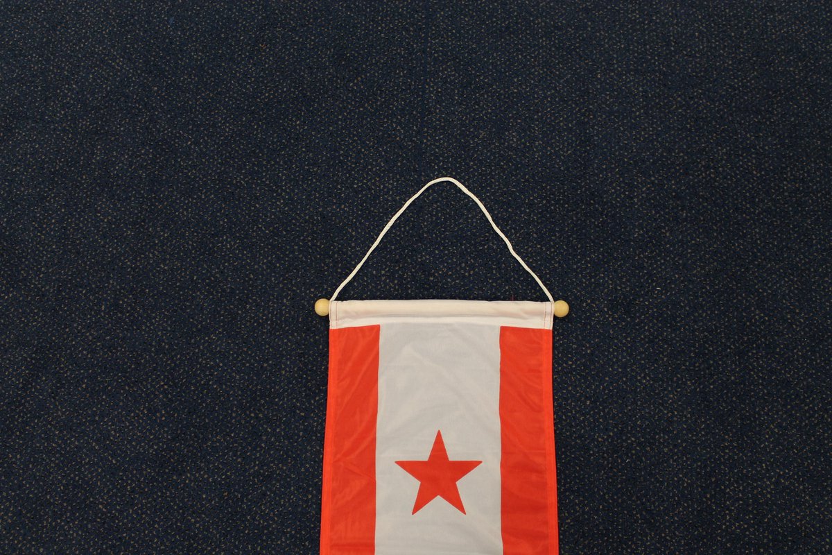 Drentse wimpel Drenthe 25 x 200cm