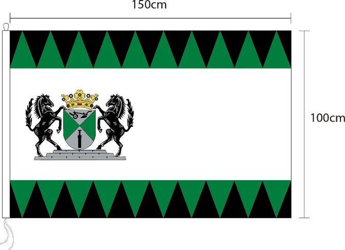 Vlag van Emmen 100 x 150cm
