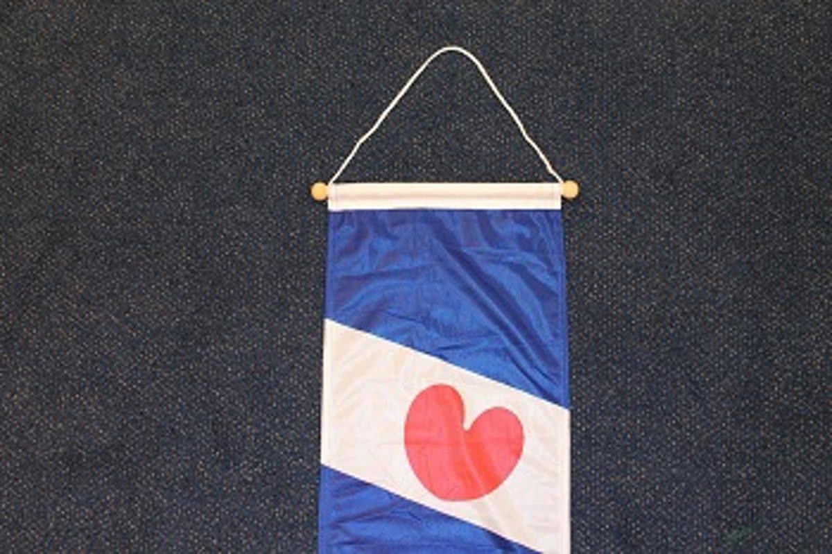 Wimpel Friesland 25 x 300cm