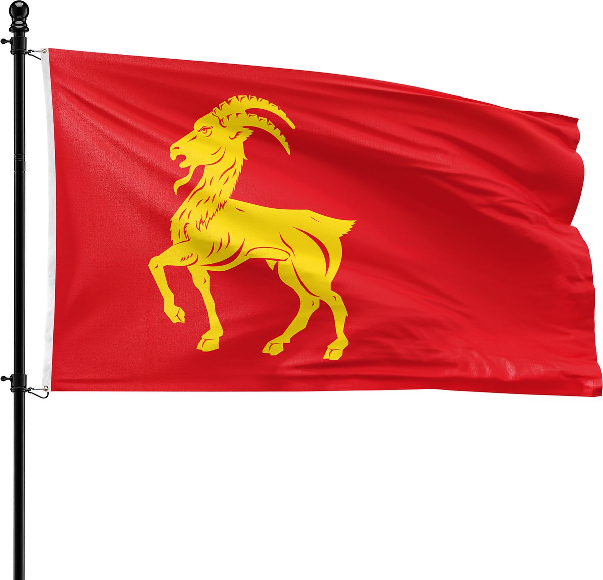 VlagDirect - Boxmeer vlag - Gemeente Boxmeer vlag - 90 x 150 cm.