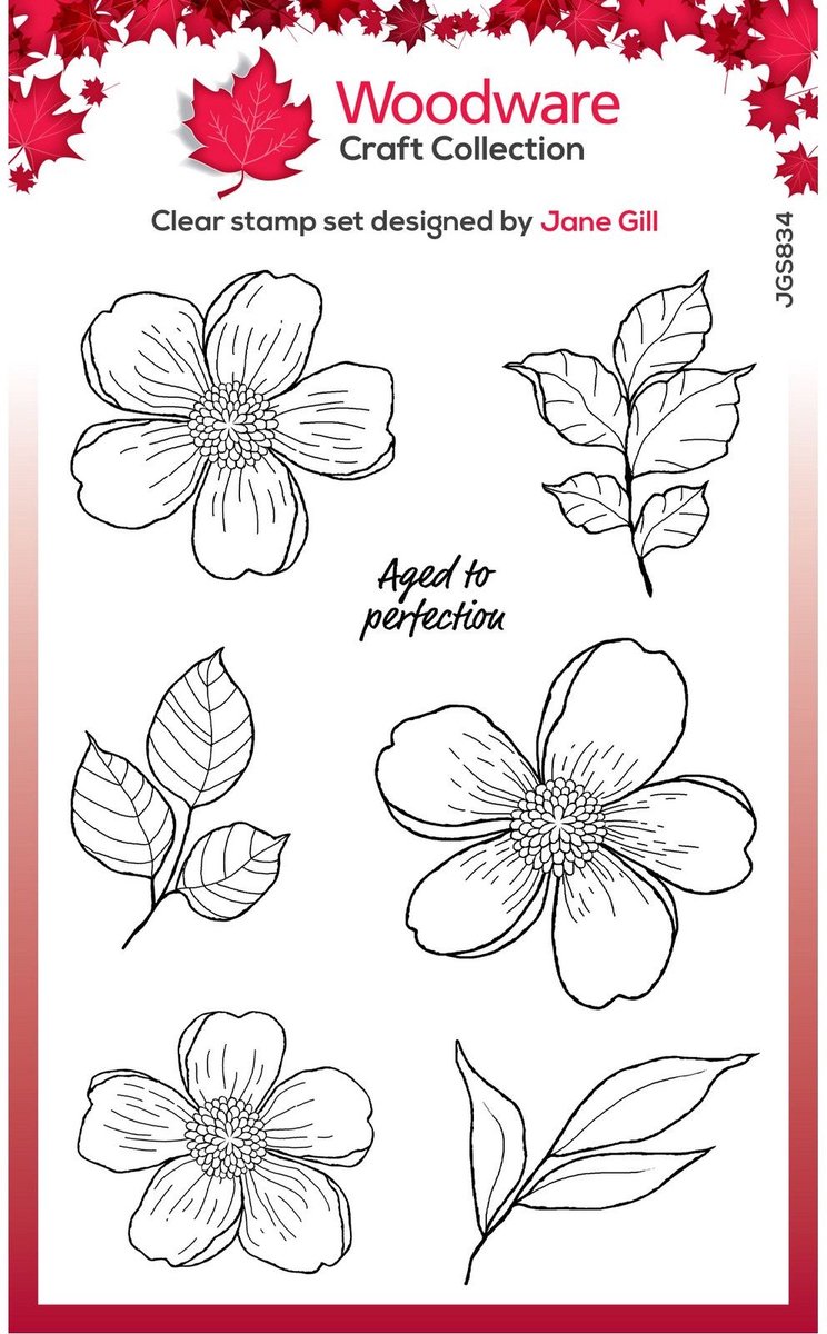 Woodware Clear Singles Stamp Summer Picks