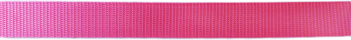Tassenband - 3 meter - 25 mm breed - Neon roze -   - Nylonband - Banden - Polyesterband - PP band - Hobby - Naaien